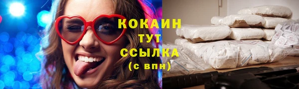 амф Верхний Тагил