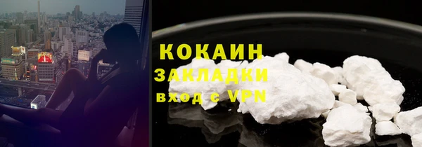 амф Верхний Тагил