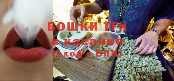 амф Верхний Тагил