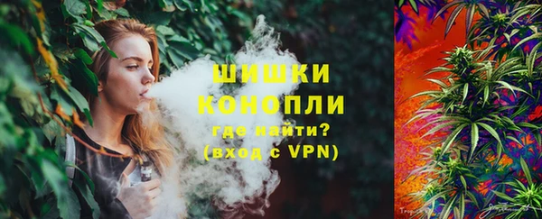 Альфа ПВП Верея