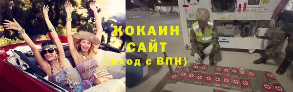 Альфа ПВП Верея