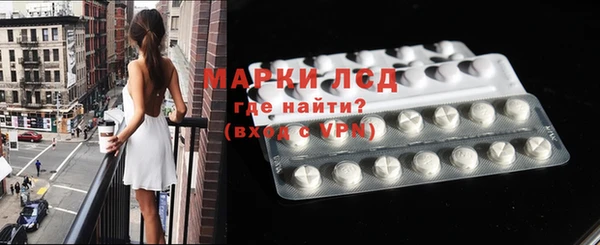 стаф Тавда