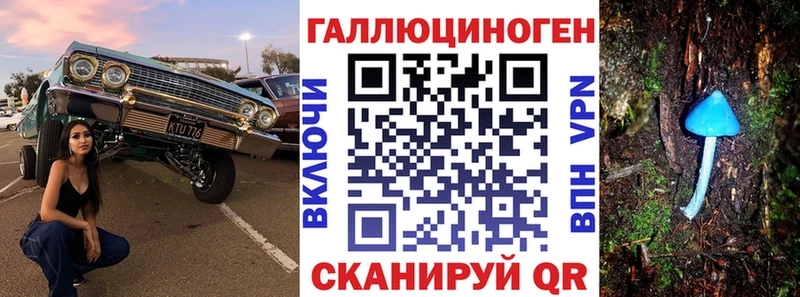 даркнет сайт  Новохопёрск  Галлюциногенные грибы мухоморы 